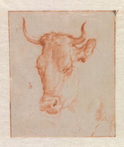 Kravská hlava od Adriaen van de Velde