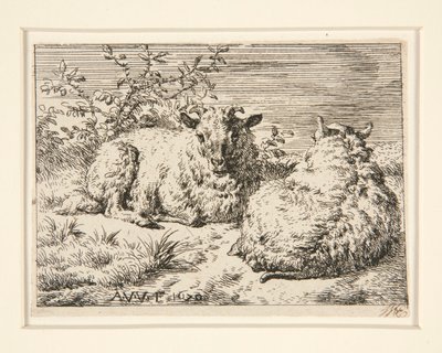 Dvě ovce od Adriaen van de Velde