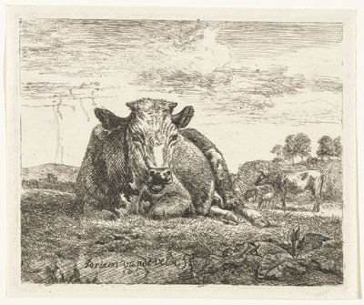 ležící kráva Různá zvířata (název série) od Adriaen van de Velde