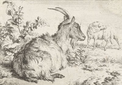 Ležící koza, 1670 od Adriaen van de Velde