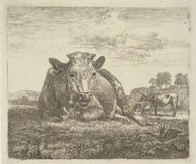 Ležící kráva, z různých zvířat, 1657. od Adriaen van de Velde