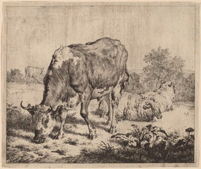 Strakatý býk a tři ovce od Adriaen van de Velde