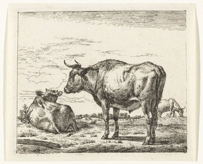 stojící býk Různá zvířata (název série) od Adriaen van de Velde