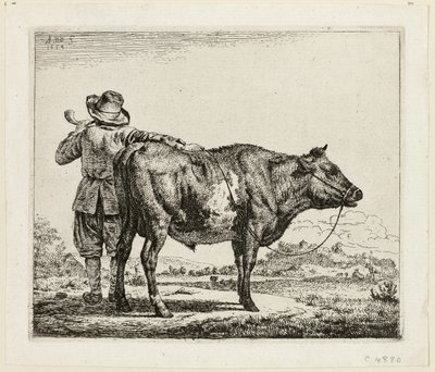 Pastevec krav a býk od Adriaen van de Velde