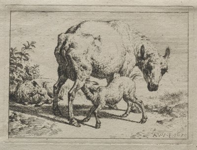 Ovce a dva jehňata, 1670. od Adriaen van de Velde