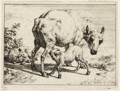 Beránek od Adriaen van de Velde