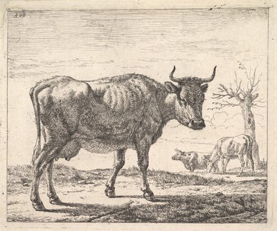 Tři krávy. od Adriaen van de Velde