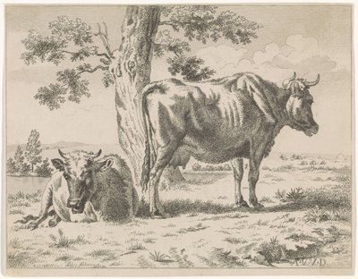 Dvě krávy u stromu (název série) Pasoucí se kráva u stromu a dvě ovce od Adriaen van de Velde