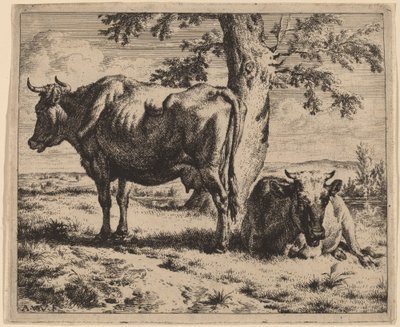 Dvě krávy pod stromem od Adriaen van de Velde