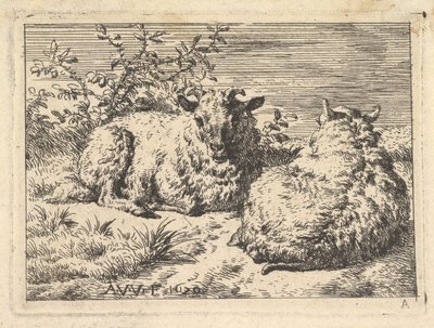 Dvě ležící ovce, 1670. od Adriaen van de Velde