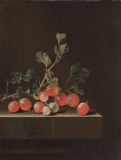 Angrešt na stole, 1701 od Adrian Coorte