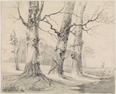 zimní krajina od Adrianus Eversen