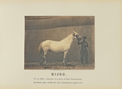 Bijou od Adrien Alban Tournachon