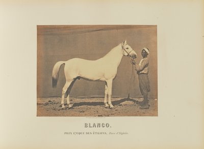 Blanco od Adrien Alban Tournachon