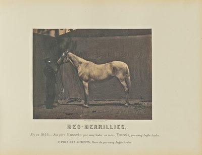 Meg-Merrillies od Adrien Alban Tournachon