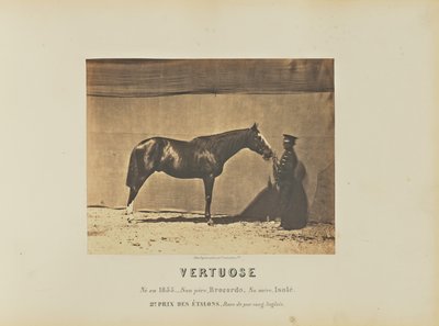 Ve Vertuose od Adrien Alban Tournachon