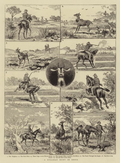 Lov na Nylghau v Indii od Adrien Emmanuel Marie