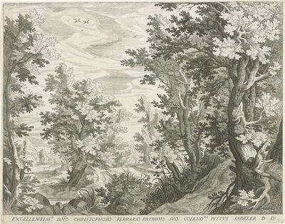 lesní krajina od Egidius  Sadeler (II)