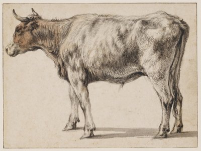  od Aelbert Cuyp
