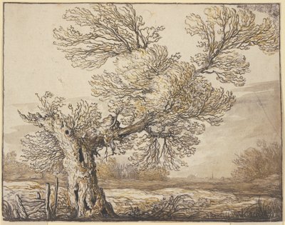  od Aelbert Cuyp
