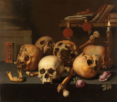 Zátiší Vanits od Aelbert Jansz. van der Schoor
