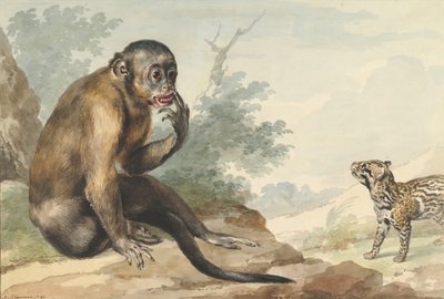 Opice sedící na skále při pohledu na cibetku, 1764. od Aert Schouman