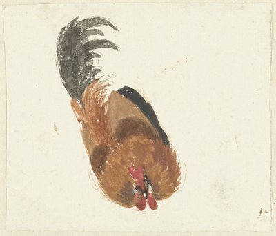 Studie mrtvého kohouta od Aert Schouman