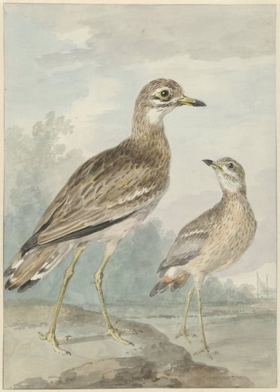 Dva rozmary od Aert Schouman