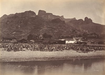 Duck Market, ca. 1869. od Afong Lai