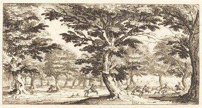 Krajina od After Jacques Callot