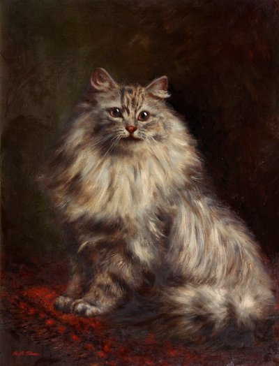 Perská kočka, kolem 1908-20 od Agnes Augusta Talboys