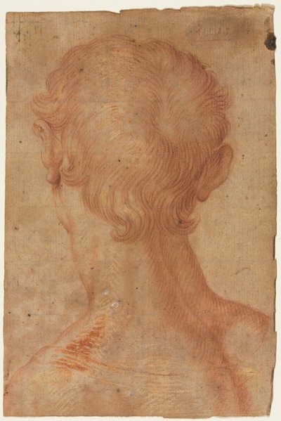  od Agnolo Bronzino