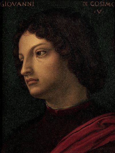 Portrét Giovanni de Medici (Florencie od Agnolo Bronzino