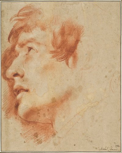 Hlava mladého muže hledícího vzhůru od Agostino Carracci
