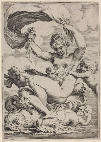 Venuše nebo Galatea podporovaná delfíny od Agostino Carracci