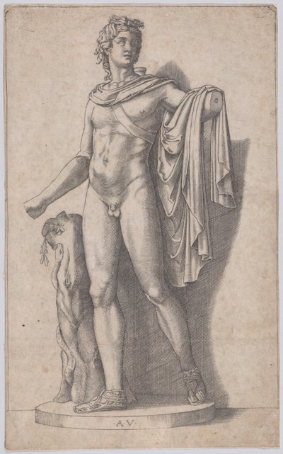 Apollo, ca. 1514-36. od Agostino Veneziano