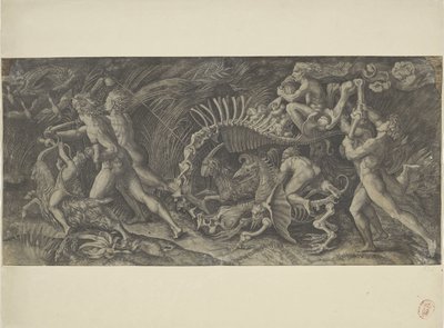 Het karkas Stregozzo od Agostino Veneziano
