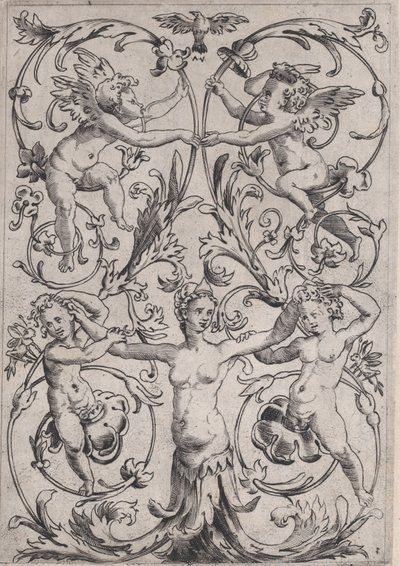 Ornamental Panel, ca. 1514-36. od Agostino Veneziano