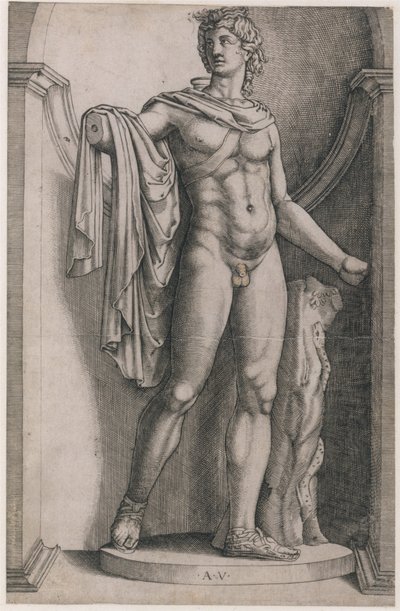 Zrcadlo římské velkoleposti: Apollo Belvedere, ca. 1514-36, ca. 1514-36. od Agostino Veneziano