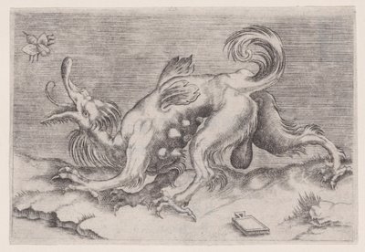 Drak a včela, ca. 1514-36. od Agostino Veneziano