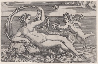 Venuše ležící na delfínovi, ca. 1516. od Agostino Veneziano