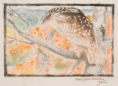 Kokko, ilustrace ke knize Velká Kalevala od Akseli Gallen-Kallela