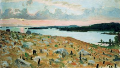 Odlesněný les na břehu jezera Kallavesi od Akseli Valdemar Gallen Kallela
