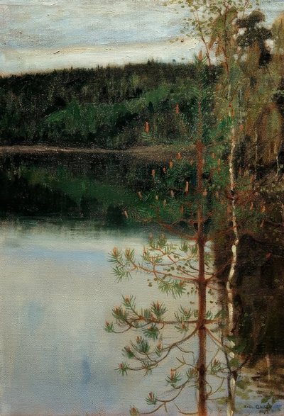 Pohled na jezero od Akseli Valdemar Gallen Kallela