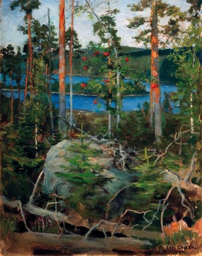 Krajina u jezera Jamajärvi od Akseli Valdemar Gallen Kallela