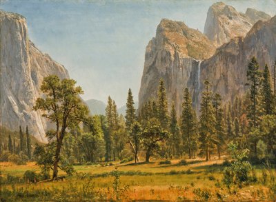 Falls Bridal Veil, Yosemite Valley, Kalifornie od Albert Bierstadt