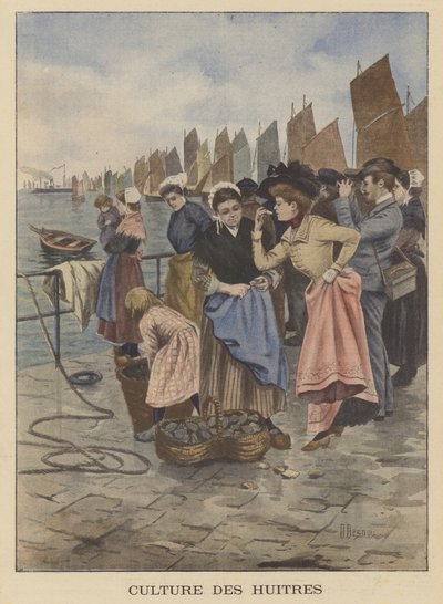 Sklizeň ústřic v Cancale, Bretaň od Albert Besnou