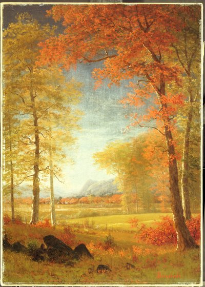 Podzim v Americe, Oneida County, New York od Albert Bierstadt