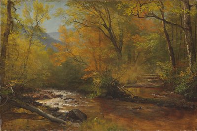 Potok v lese od Albert Bierstadt