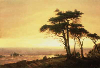 Kalifornské pobřeží (olej na plátně) od Albert Bierstadt